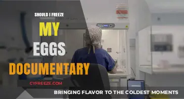 Exploring the Decision: Should I Freeze My Eggs?