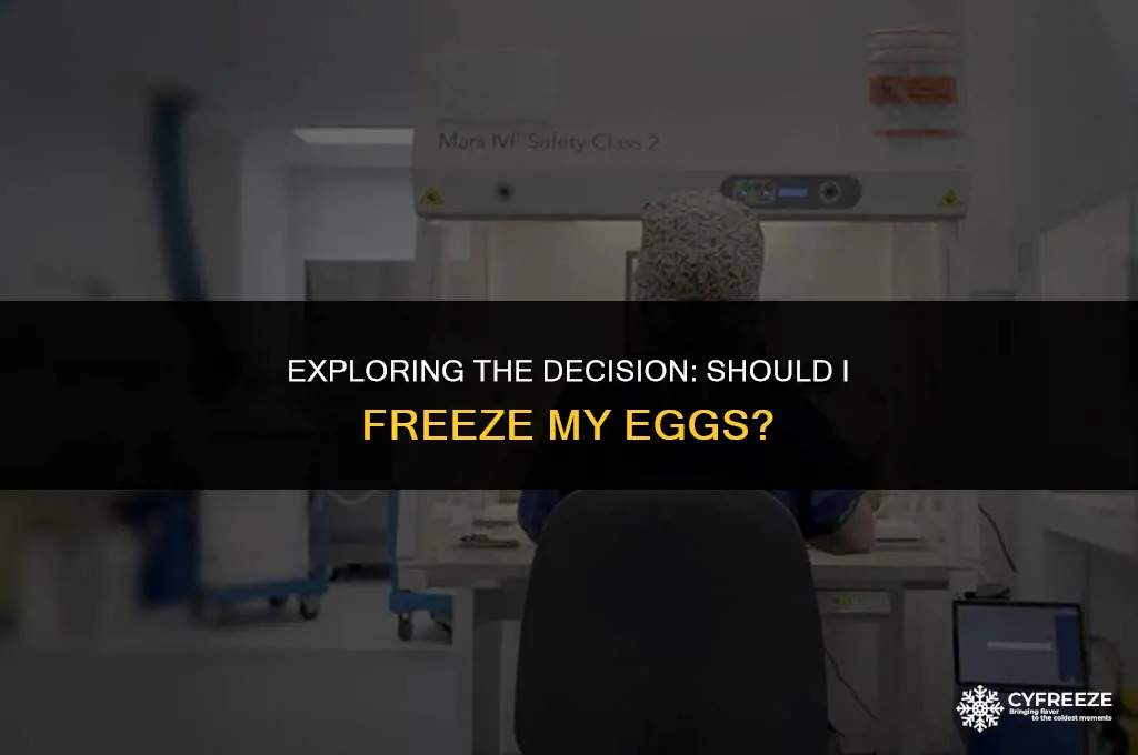 should i freeze my eggs documentary