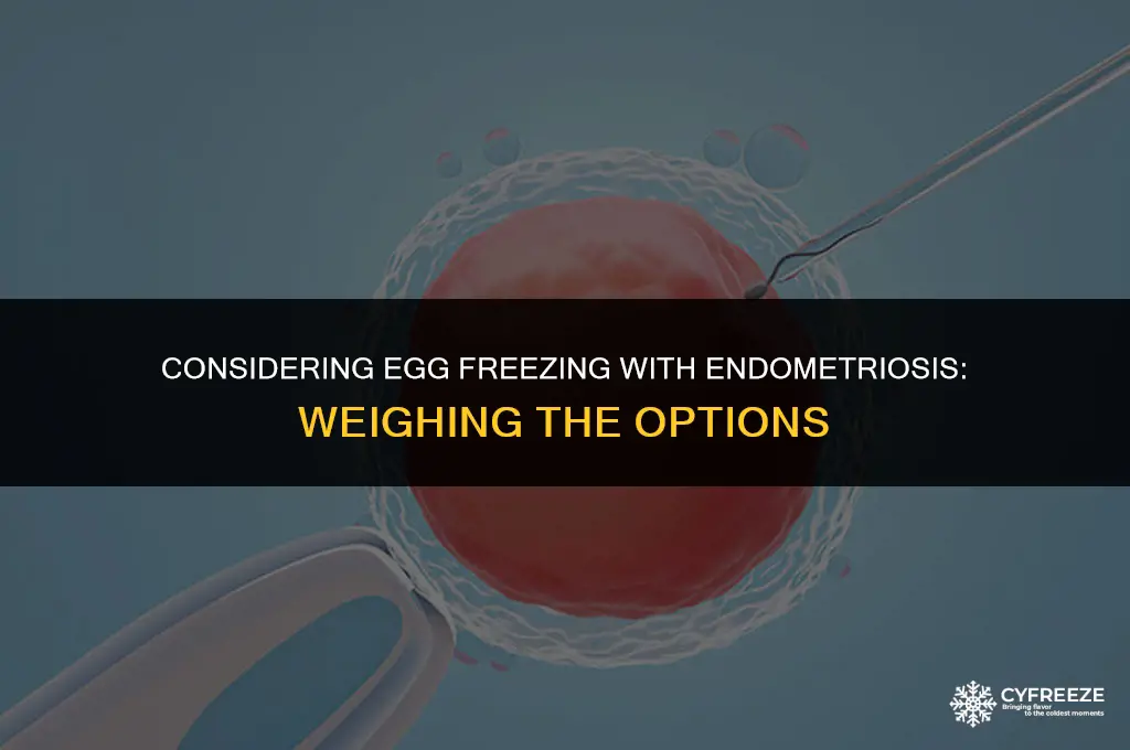 should i freeze my eggs if i have endometriosis