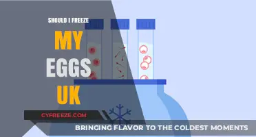 Considering Your Future: The Decision to Freeze Eggs in the UK