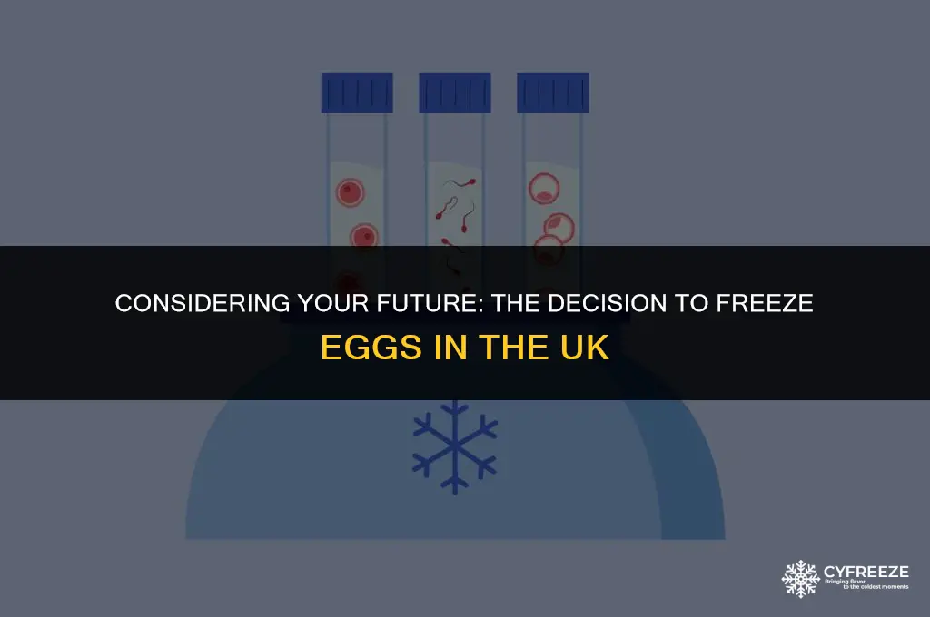 should i freeze my eggs uk