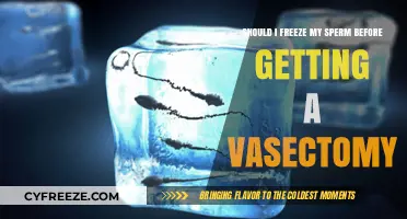 Freeze Sperm Before Vasectomy? Weighing Options for Future Fertility