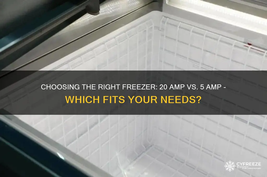 should i get a 20 or 5 amp freezer