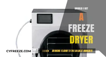 Should You Invest in a Freeze Dryer? Pros, Cons, and Tips