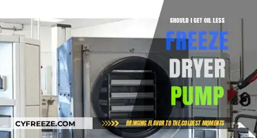 Oil-Free Freeze Dryer Pump: Is It the Right Choice for You?