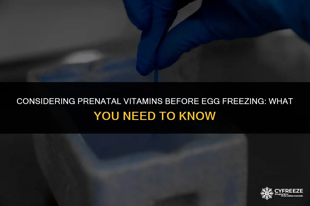 should i take prenatal vitamins before egg freezing