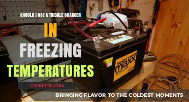 Trickle Charger Use in Freezing Temps: Essential Tips for Winter