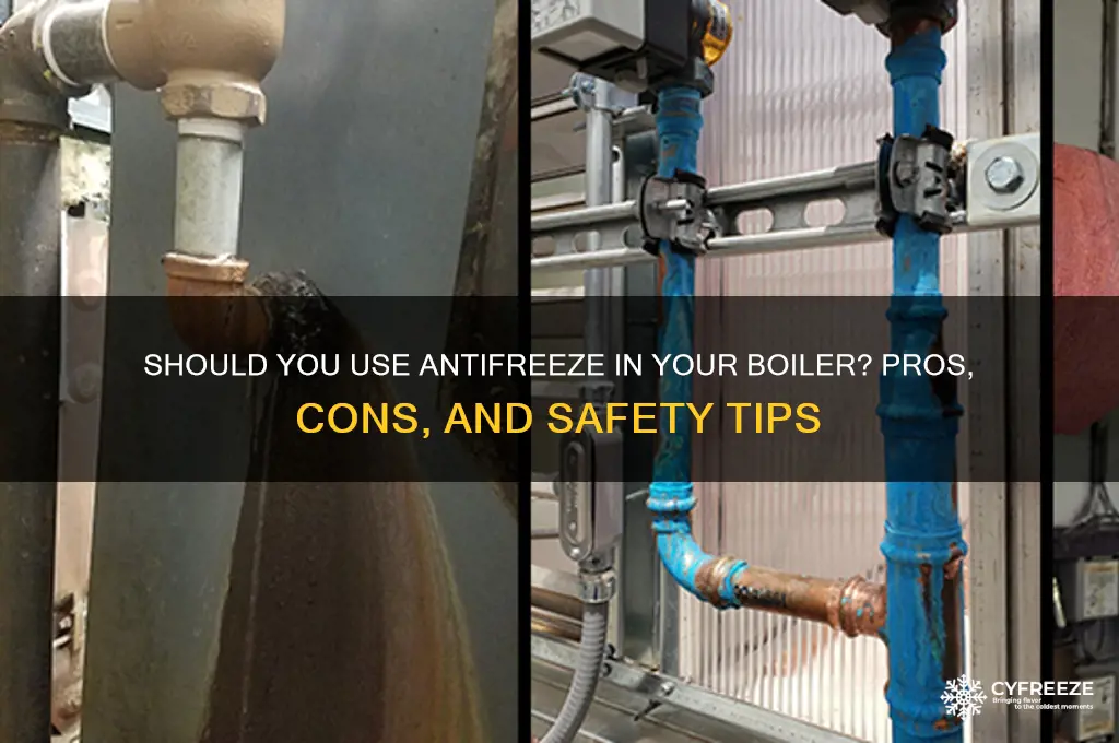 should i use anti freeze in my boiler