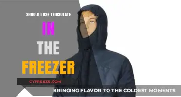 Thinsulate in the Freezer: Is It the Right Insulation Choice?