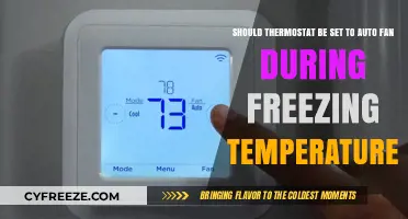 Auto Fan Mode in Freezing Temps: Smart Choice or Costly Mistake?