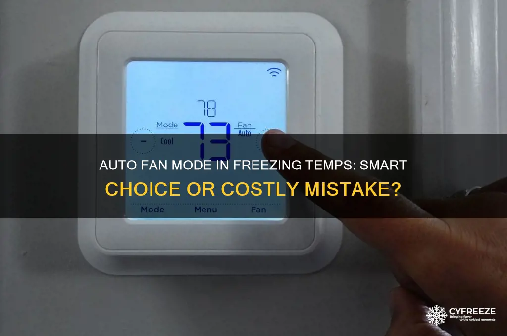 should thermostat be set to auto fan during freezing temperatures