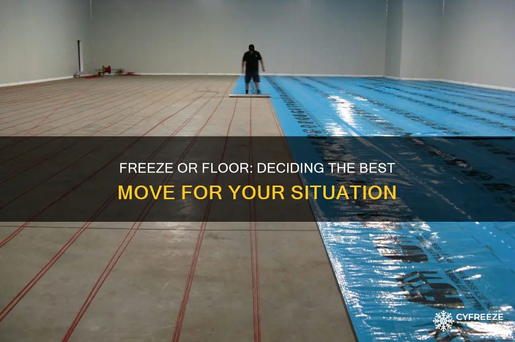 should we freeze or should we get on the floor
