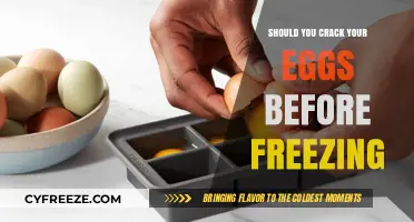 Egg-cellent Preservation: The Pros and Cons of Cracking Before Freezing