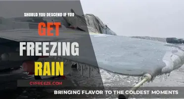 Freezing Rain Alert: Should You Descend or Stay Aloft?