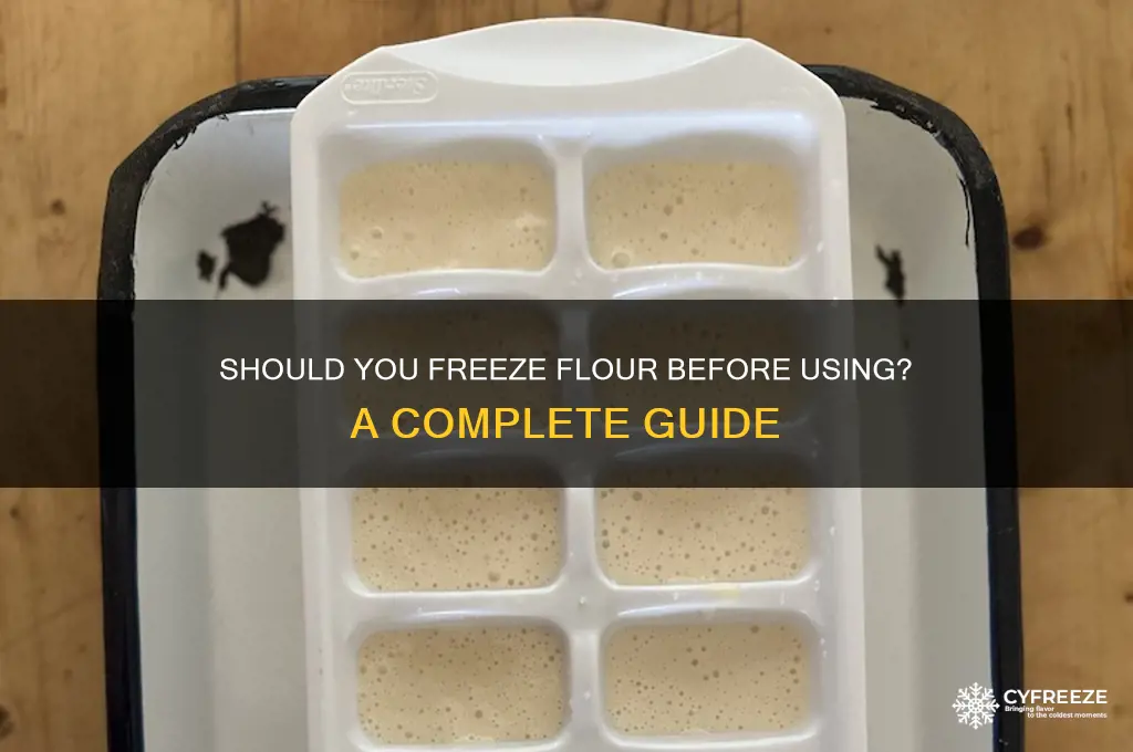 should you freeze flour before using