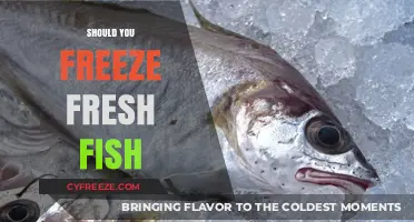Fresh Fish Freezing Dilemma: A Guide to Optimal Preservation