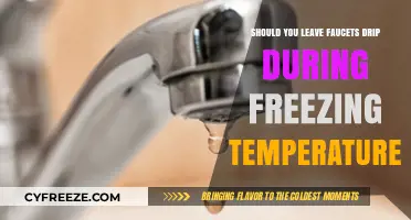 Prevent Frozen Pipes: Should You Let Faucets Drip in Winter?