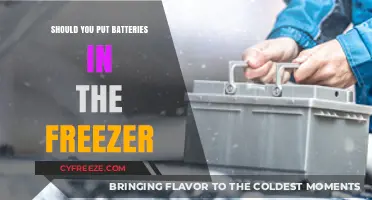 Chilling Power: The Truth About Freezing Batteries