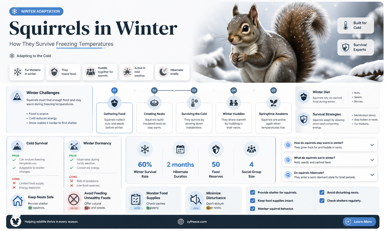 can squirrels survive freezing temperatures