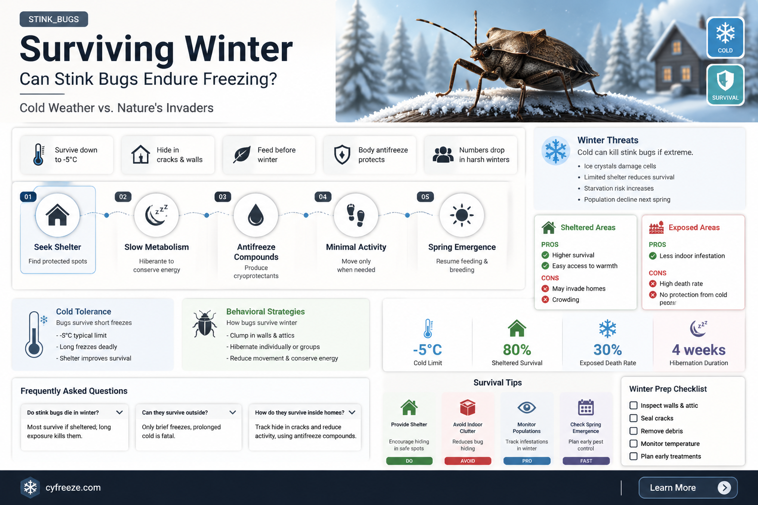 can stink bugs survive freezing temperatures