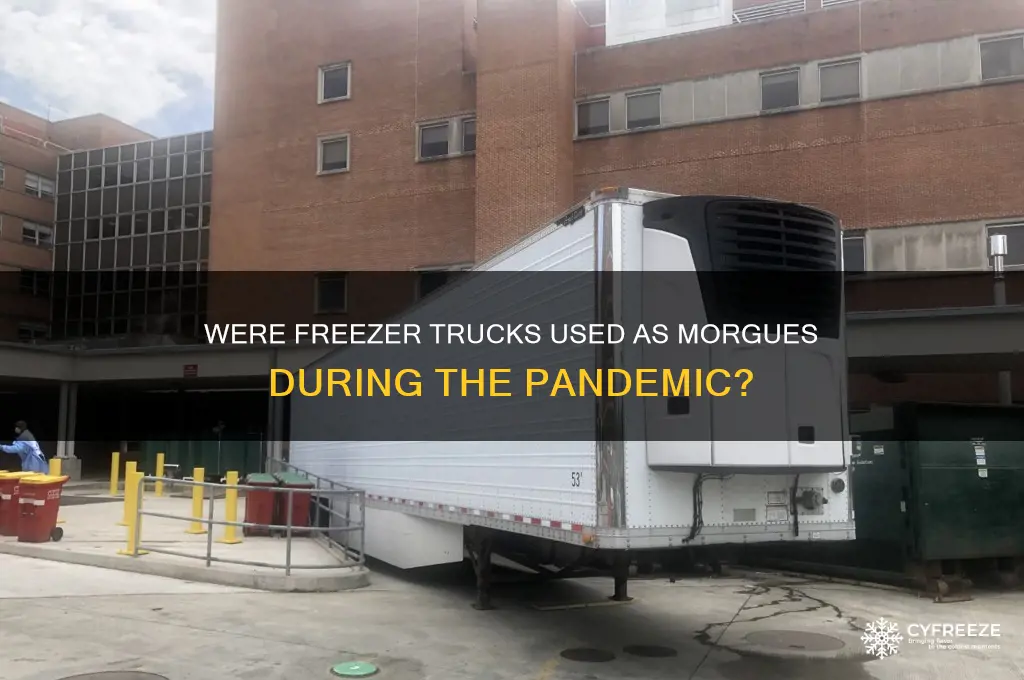 were freezer trucks used as morgues