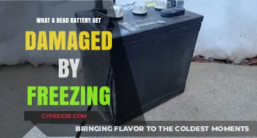 Can Freezing Temperatures Permanently Damage a Dead Car Battery?