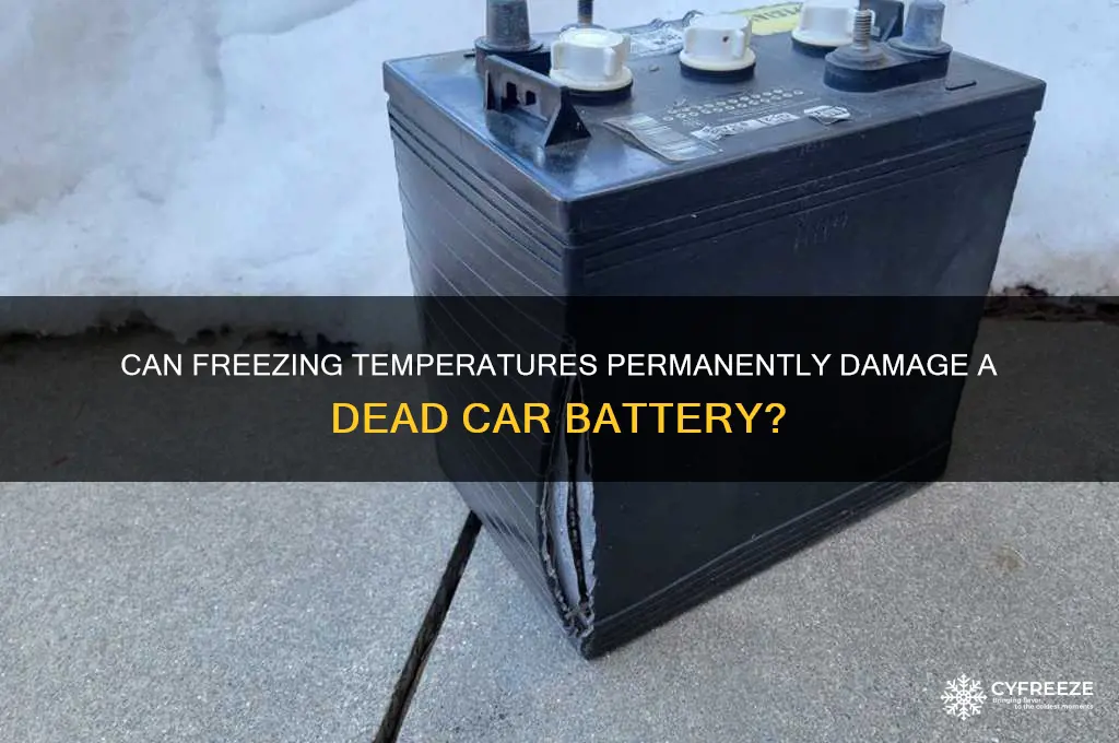 what a dead battery get damaged by freezing