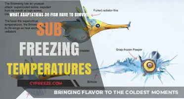 How Fish Thrive in Sub-Zero Waters: Adaptations for Survival