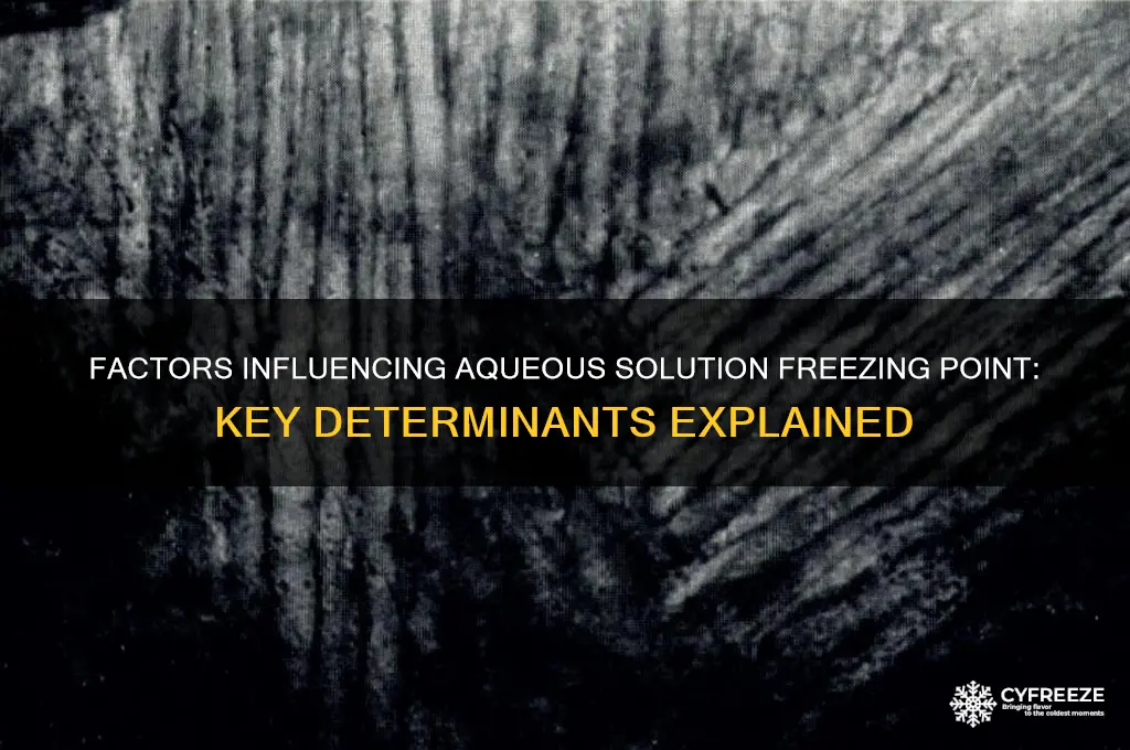 what affects aqueous solution freezing point