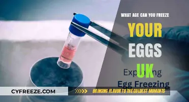 Egg Freezing in the UK: Optimal Age and Essential Information