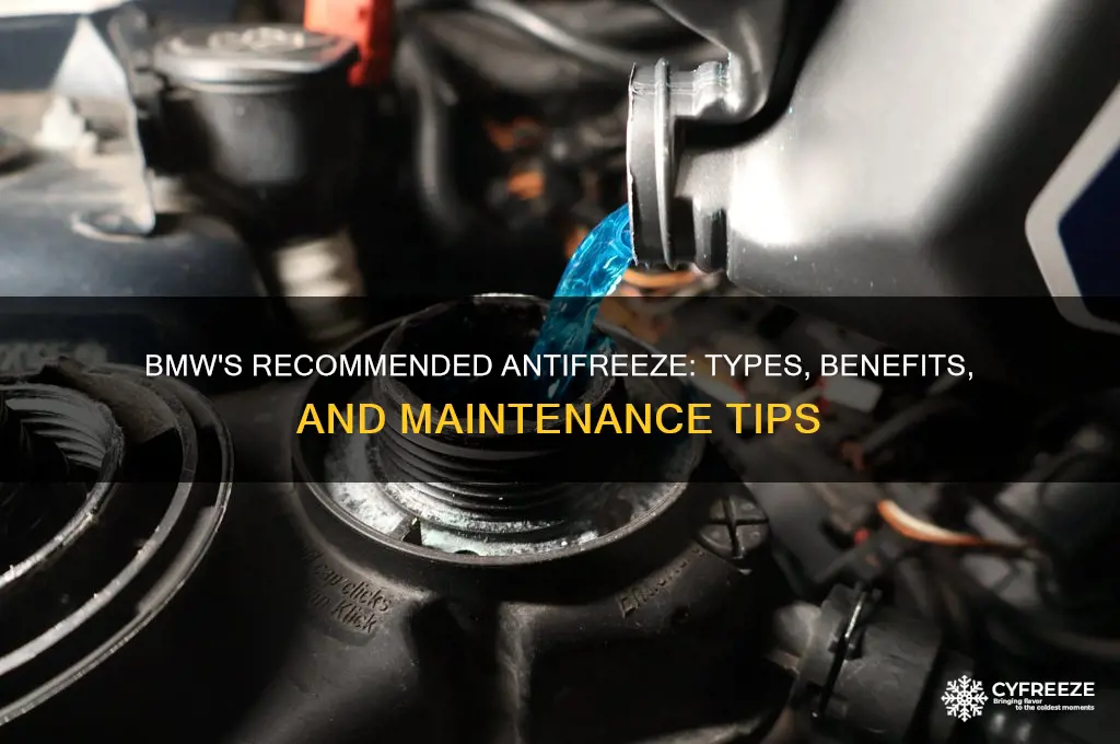 what anti freeze does bmw use