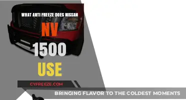 Nissan NV 1500 Anti-Freeze: Recommended Type and Maintenance Tips