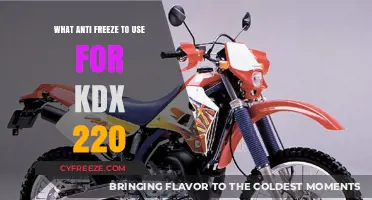 Best Anti-Freeze Options for Optimal KDX 220 Engine Performance