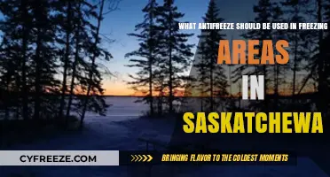 Best Antifreeze for Saskatchewan's Extreme Winter Temperatures: A Guide