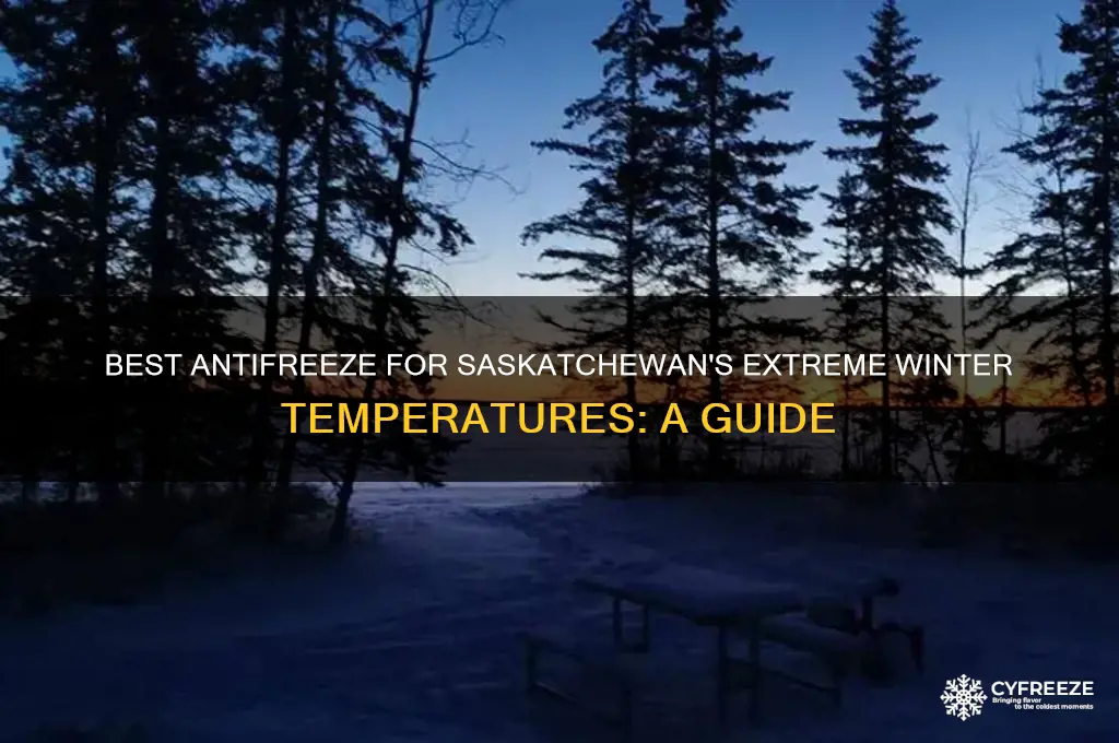 what antifreeze should be used in freezing areas in saskatchewan