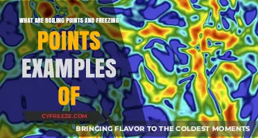 Boiling and Freezing Points: Real-Life Examples of Phase Transitions