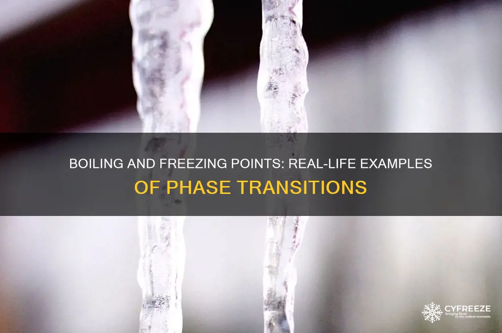 what are boiling points and freezing points examples of