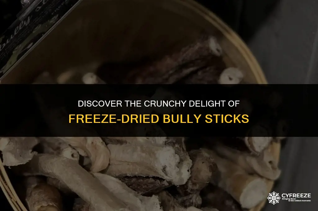 what are freeze dried bully sticks