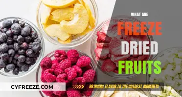 Exploring the World of Freeze-Dried Fruits: A Comprehensive Guide