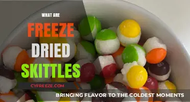 Exploring the Unique World of Freeze-Dried Skittles: A Candy Lover's Guide
