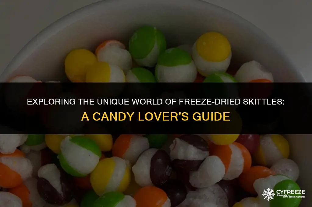 what are freeze dried skittles