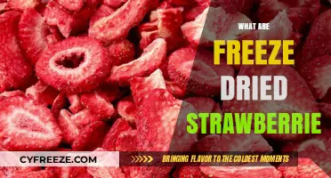 Discover the Delicious World of Freeze-Dried Strawberries: A Guide