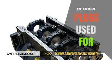 Understanding Freeze Plugs: Essential Functions and Uses in Engines