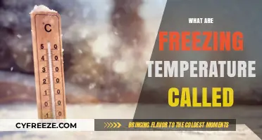 Understanding Freezing Temperatures: What Are They Called and Why It Matters