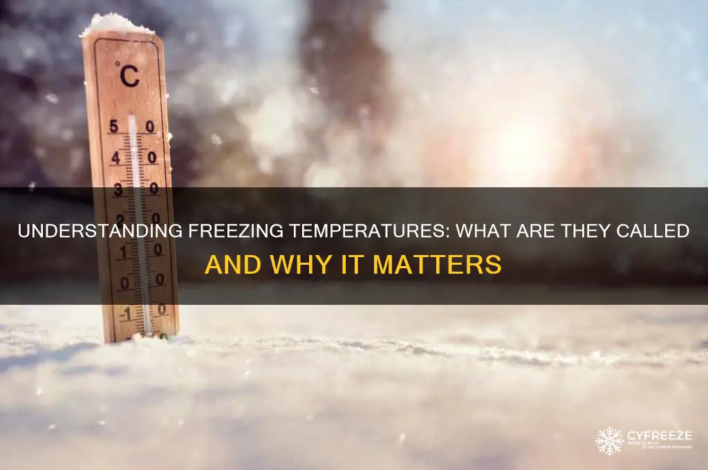 what are freezing temperatures called