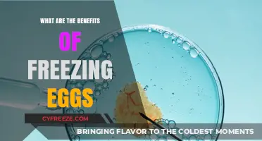 Securing Your Future: The Advantages of Egg Freezing