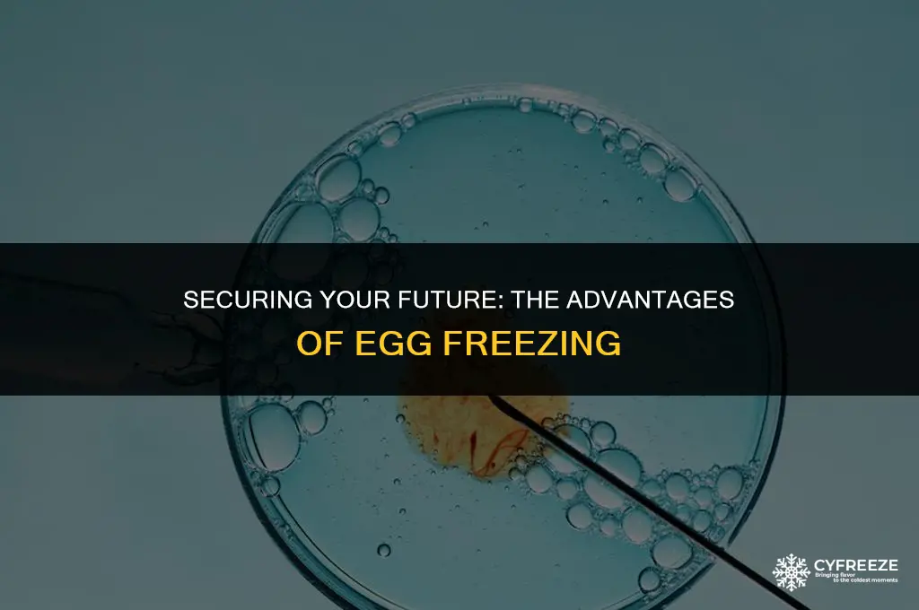what are the benefits of freezing eggs
