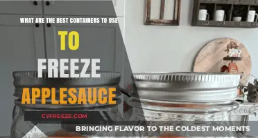 Top Freezer-Safe Containers for Storing Homemade Applesauce Effectively