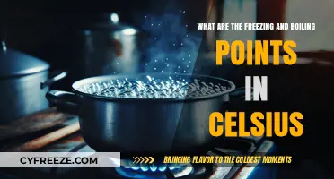 Celsius Scale Basics: Freezing and Boiling Points Explained