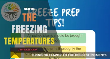 Understanding Freezing Temperatures: A Comprehensive Guide to Cold Weather